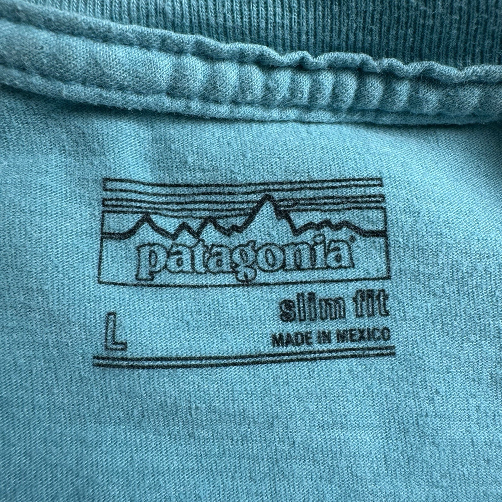 Patagonia Short Sleeve Mens Size L Blue Teal Ventura CA Graphic Cotton T Shirt gallery