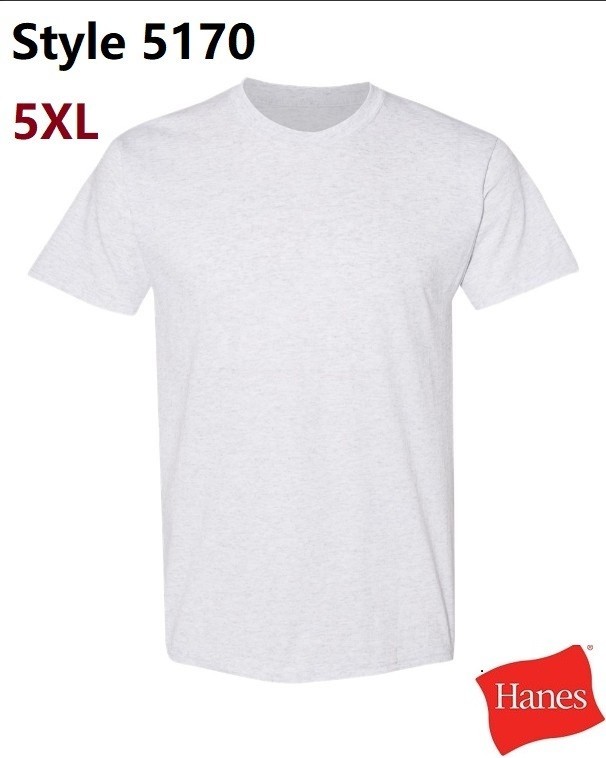 Hanes 5170 5XL EcoSmart Crewneck Short Sleeve Tee Unisex Pit to Pit 31" Ash gallery