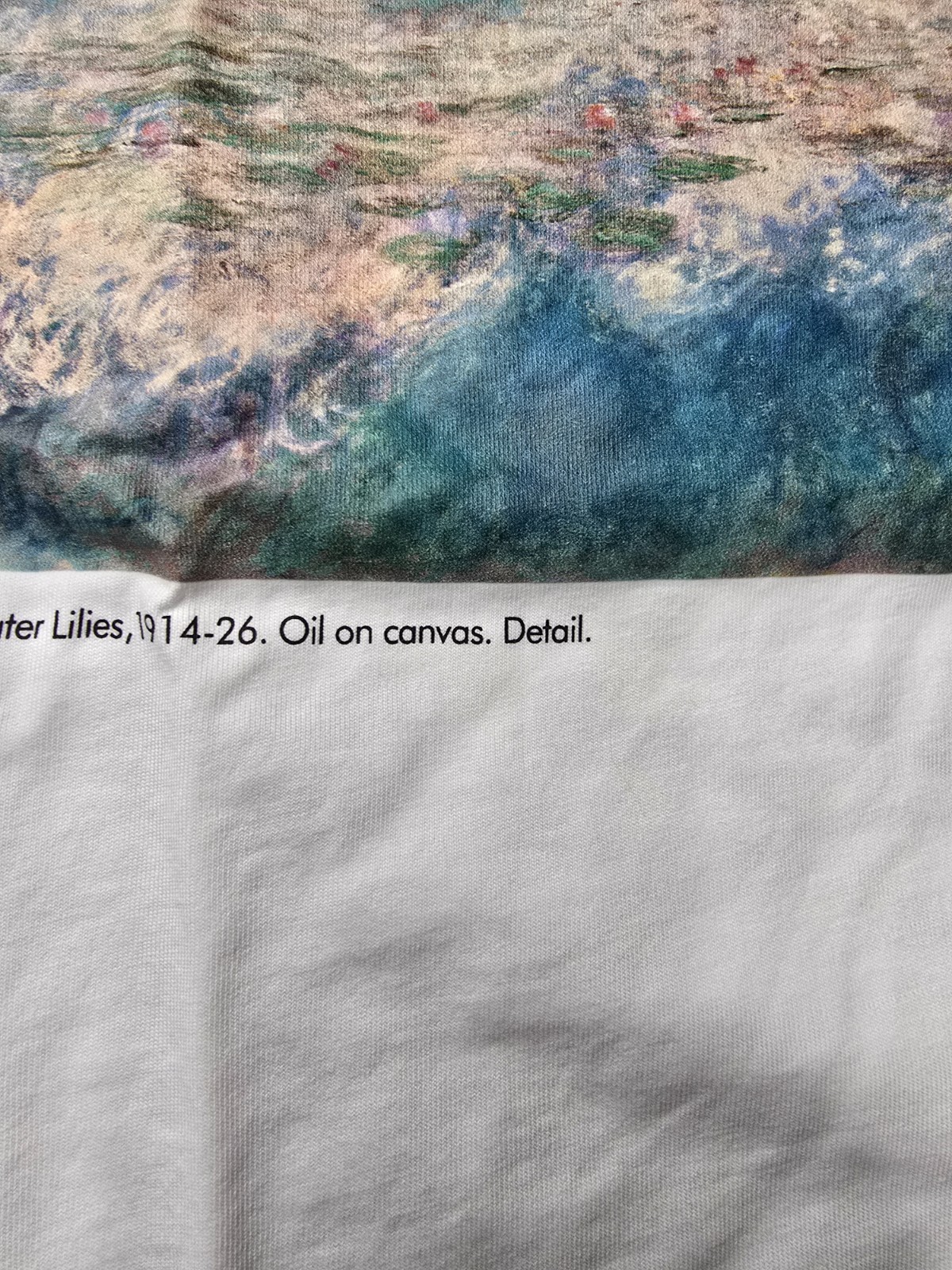 Uniqlo UT Moma Cluade Monet Graphic T Shirt Size L Art gallery