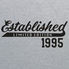 Established 1995 T-Shirt – Sport Grey