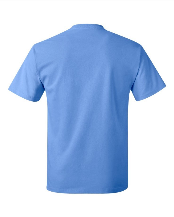 Hanes 5250 4XL 5XL Authentic Short Sleeve Men's Cotton T-Shirt Carolina Blue gallery