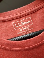 Gorgeous L.L.BEAN Salmon COTTON Men Size Medium M Short Sleeve Tee Top