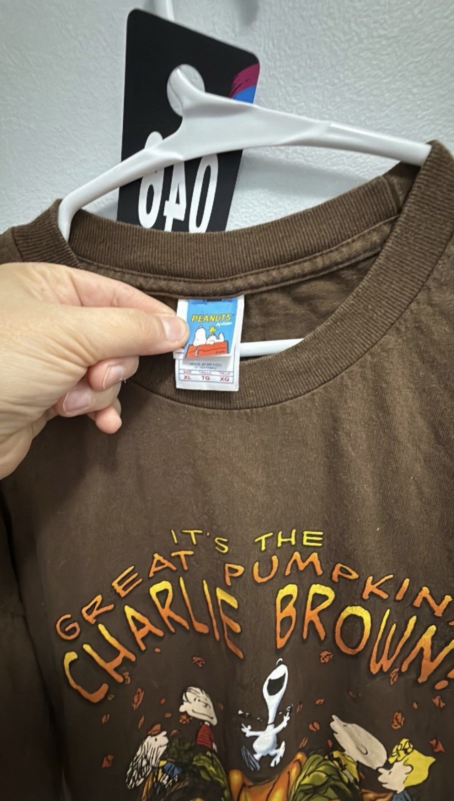 Peanuts Men's Brown Great Pumpkin Charlie Brown Crew Neck T-Shirt Size XL gallery
