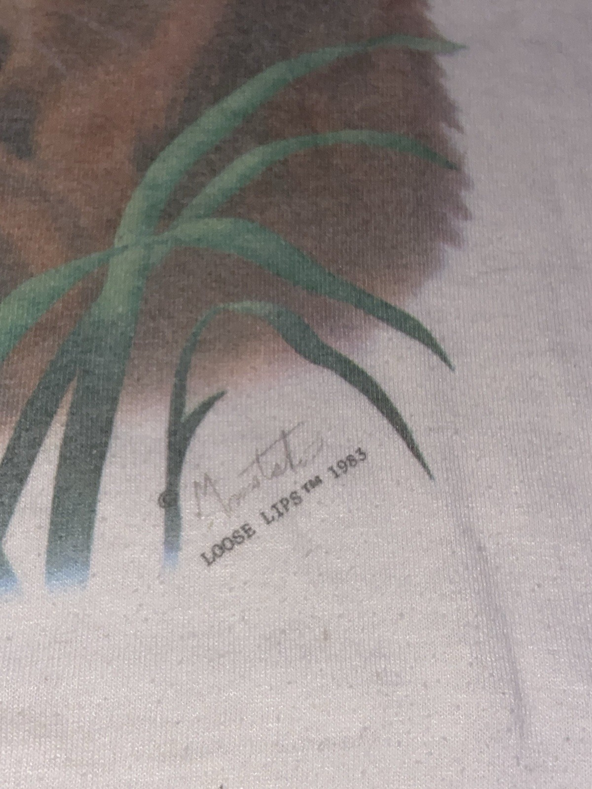 Vintage 1983 Lion Nature T Shirt Size Large Jerzees Tag, Loose Lips Nature Art gallery