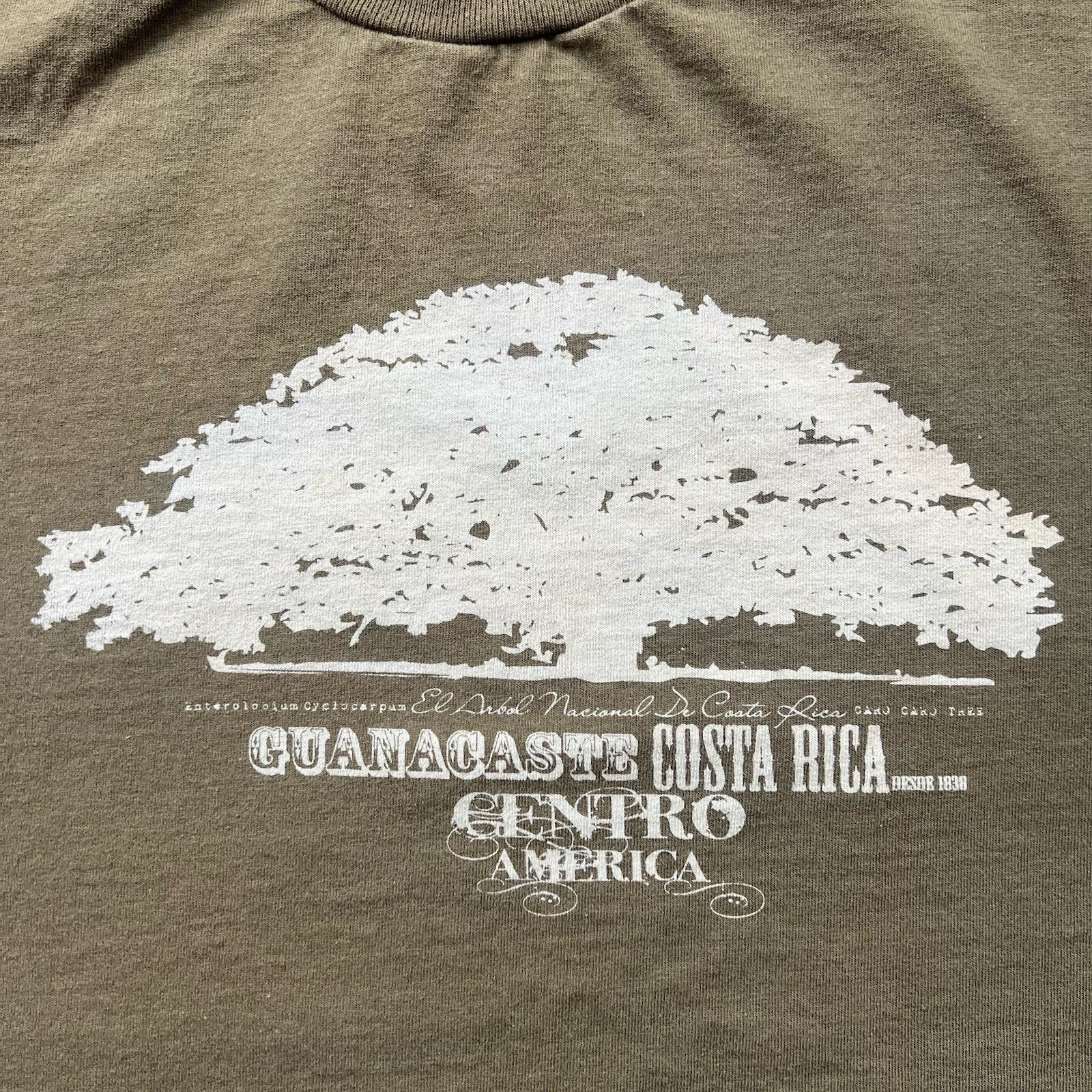 Vintage Vanguard Costa Rica Guanacaste Tree Graphic T-Shirt Olive Green Large gallery