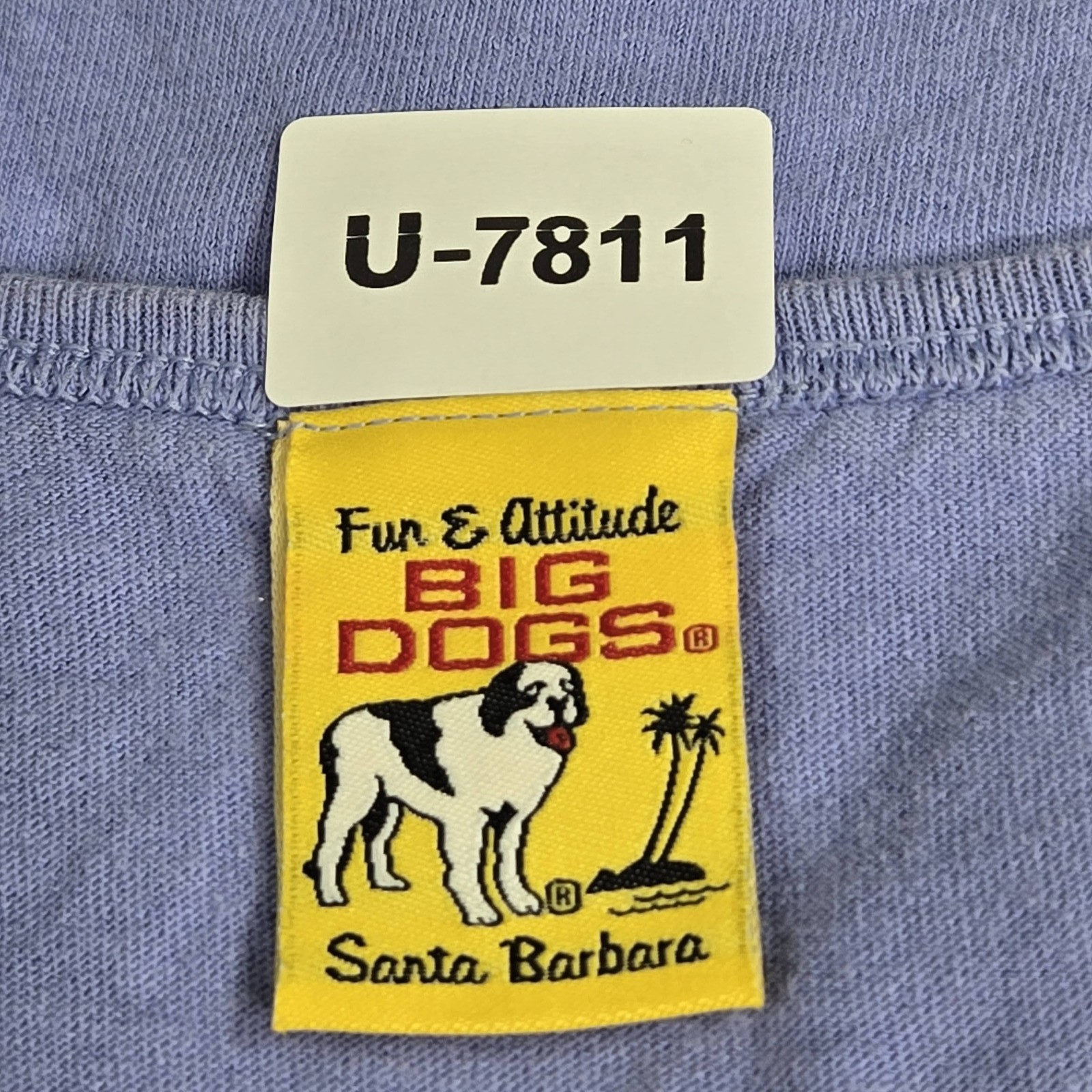 VINTAGE Big Dogs Men Tank Top XL Blue Text Graphic Sleeveless Logo gallery
