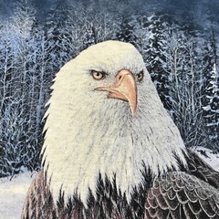 The Mountain Long Sleeve Shirt XL Eagle Winter Scene Blue Graphic Tie Dye Rare