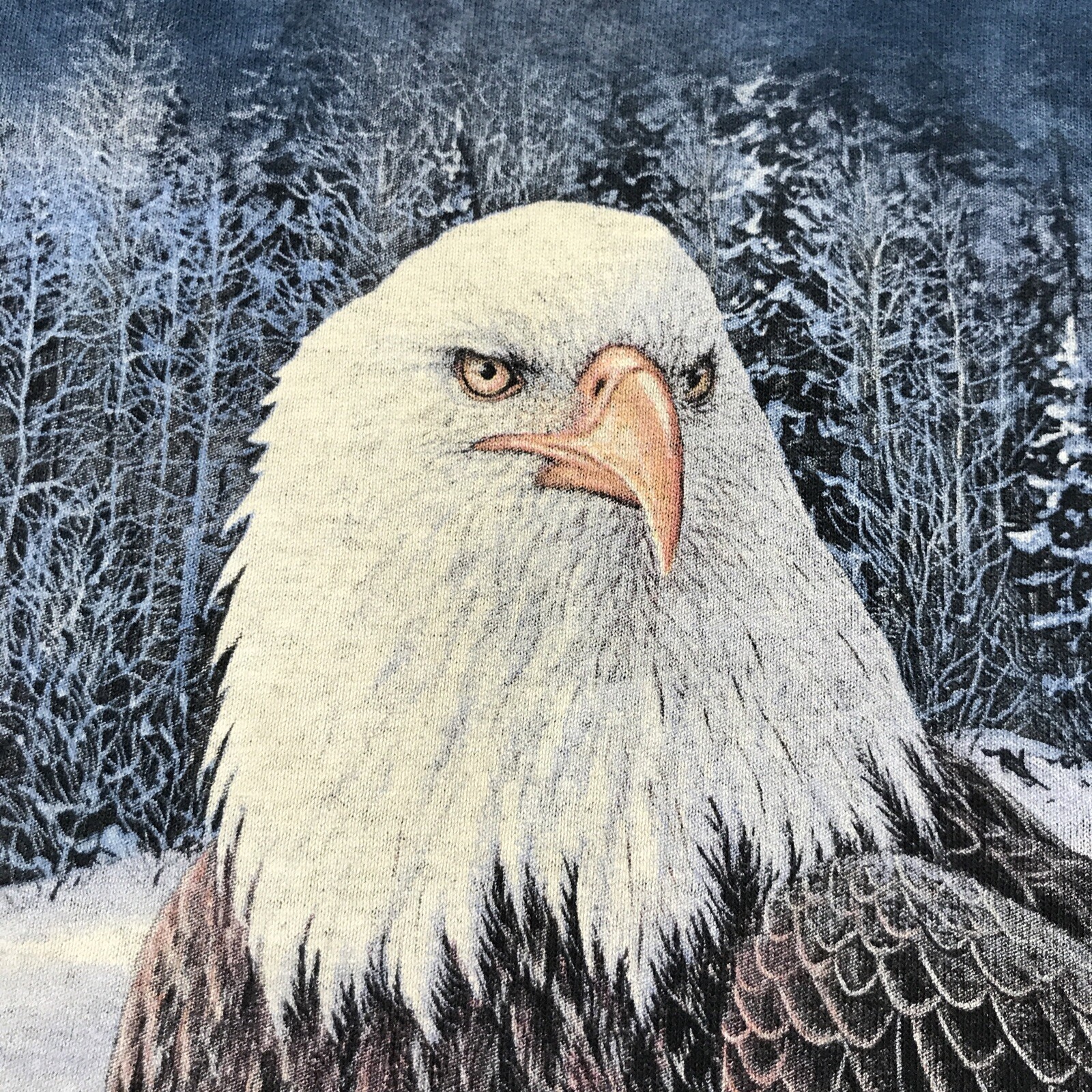 The Mountain Long Sleeve Shirt XL Eagle Winter Scene Blue Graphic Tie Dye Rare gallery