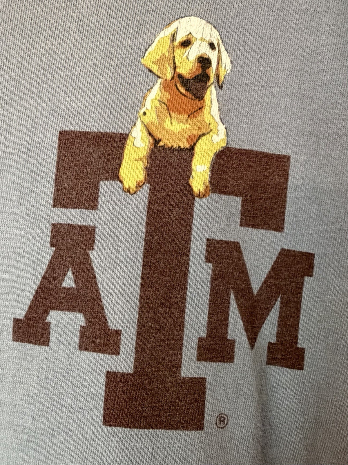 Texas A&M T-Shirt, Light Blue, Dogs, Size Adult Small (S) gallery