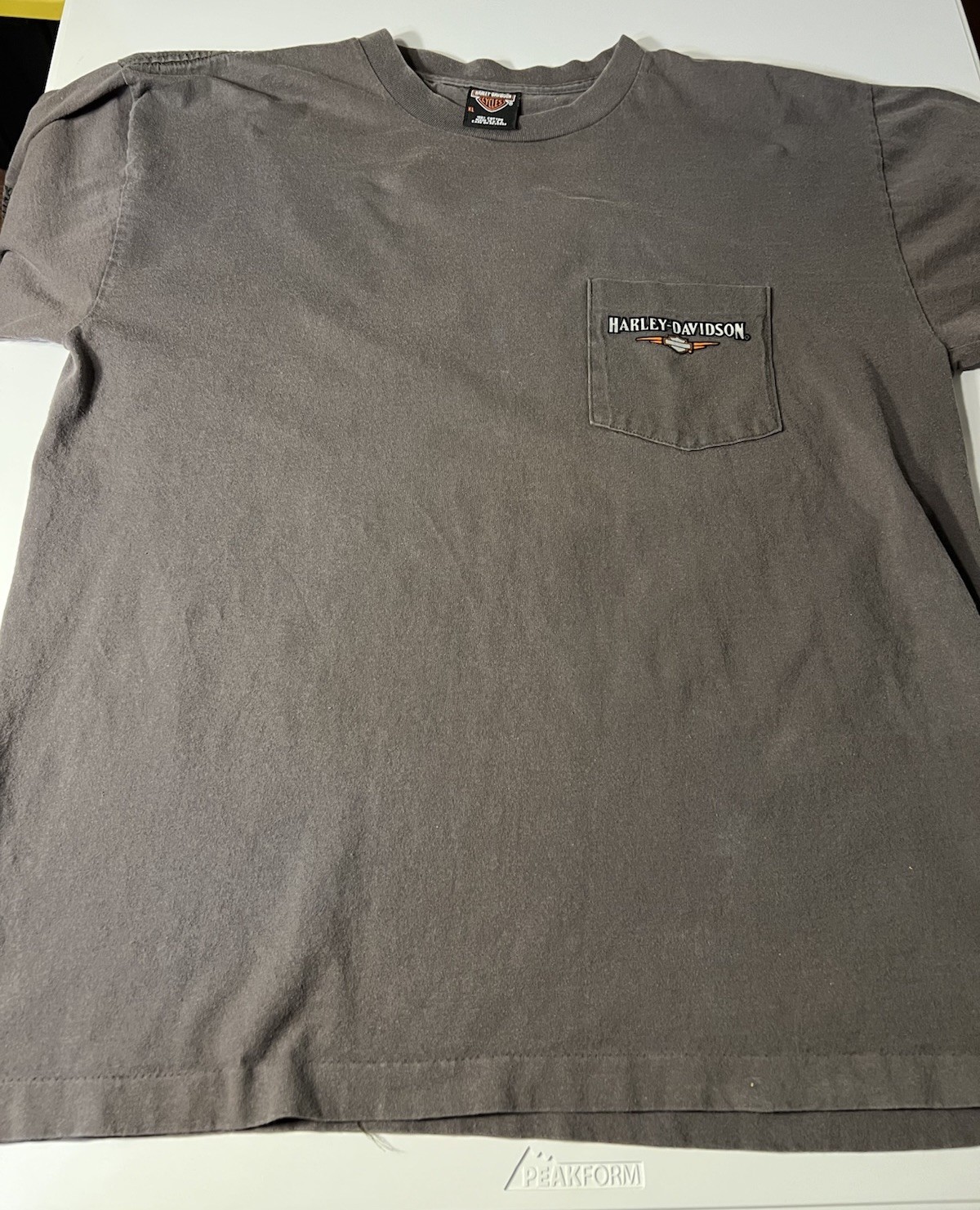 Vintage Late 90s Harley Davidson XL Y2K Gray Michigan City IN hole On Back Shirt