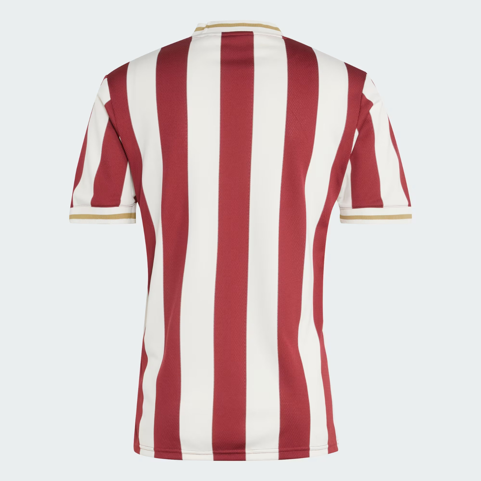 adidas 1. FC Nurnberg Anniversary JG6350 Noble Maroon/Chalk White Unisex Jersey gallery