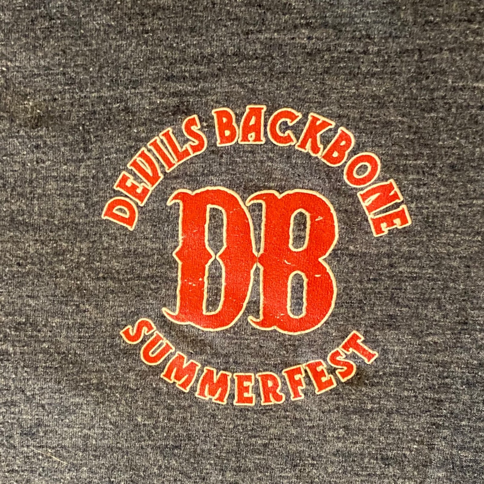 Gildan Softstyle T-Shirt Mens XL Devils Backbone Summerfest DB Tee Charcoal gallery