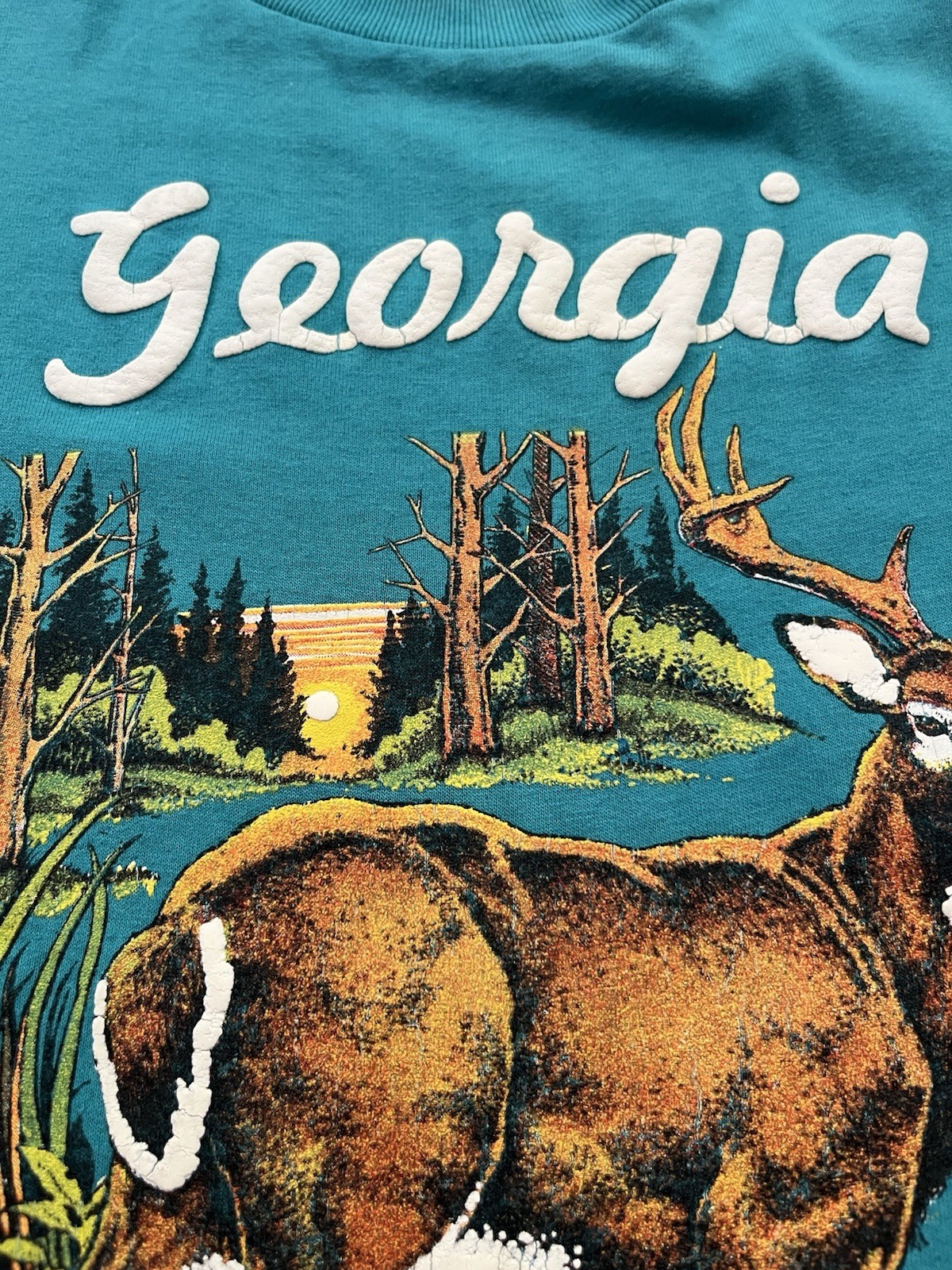 Vintage Georgia tshirt With Deer Single Stitch Teal Green gallery
