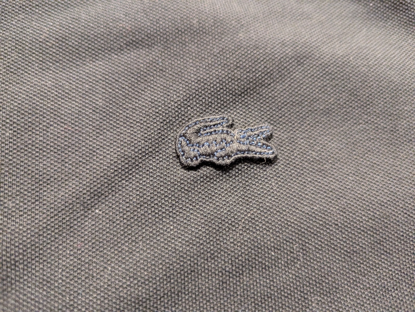 Lacoste polo gallery