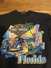 Vintage 1990s Harley Davidson The Only Way to See Florida T-Shirt Hanes Beefy
