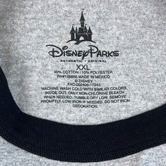 Disney Parks Mickey Mouse Shirt Men’s XXL Gray Raglan 1928 Script Spellout