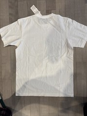 Brand New Kaws x Uniqlo UT “Flayed Companion” Tee Size Large L (Asia Sizing)