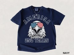 250 Year Shirt, USA Tee, Retro Funny Mens 4th of July Shirt