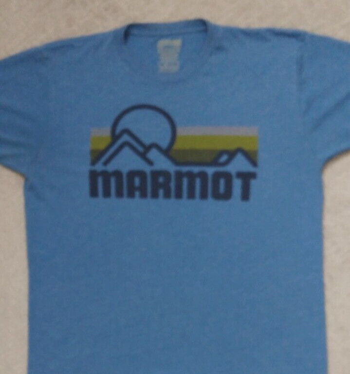 Marmot T Shirt _ Labeled as Large, measures smaller see measurement