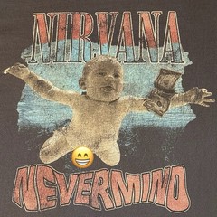 NIRVANA Nevermind Licensed Grunge Rock T-Shirt 2022. LARGE Preowned NV