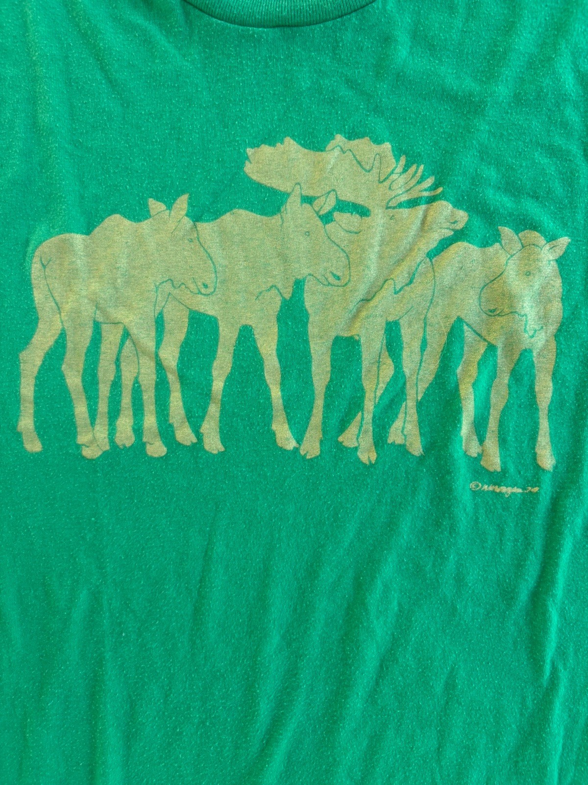 Vintage Stedman Moose Family Graphic T Shirt XL Made USA Single Stitch Green gallery