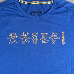 Smartwool Shirt Men’s Medium Merino Wool 150 T-shirt Blue Grateful Dead Dancing
