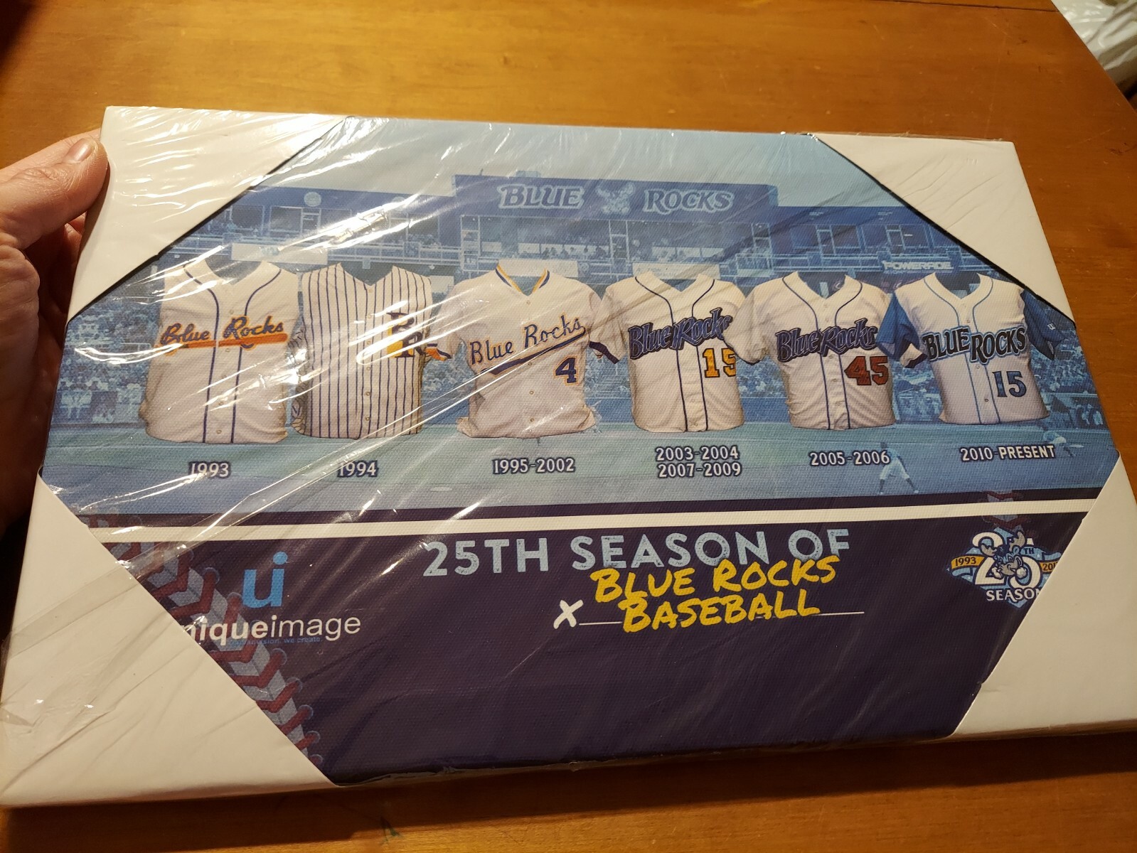 25th Season Delaware Blue Rocks Baseball Uniform Shirt 1993-Present Canvas 14×9