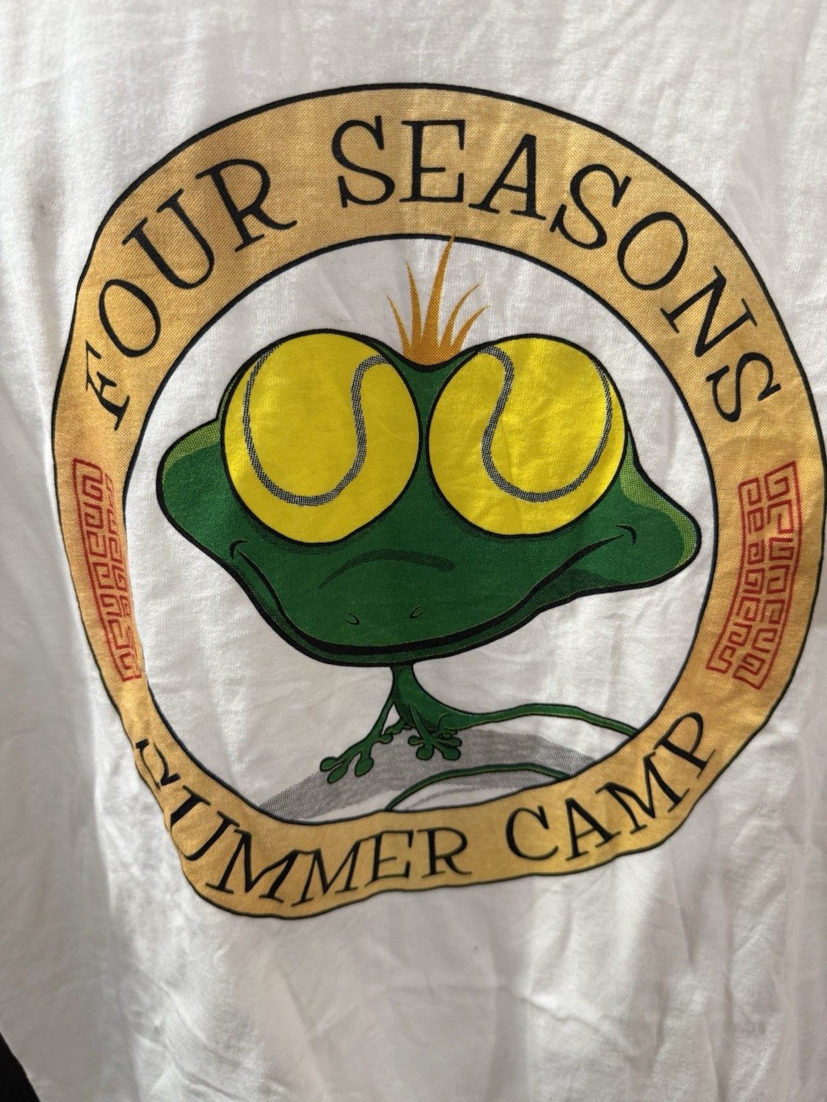 Vintage Four Seasons Summer Camp Frog Tennis Theme T Shirt Size Large gallery