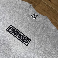 Broken Promises Devil Graphic T Shirt Mens XL Gray Japanese Text Streetwear NWOT