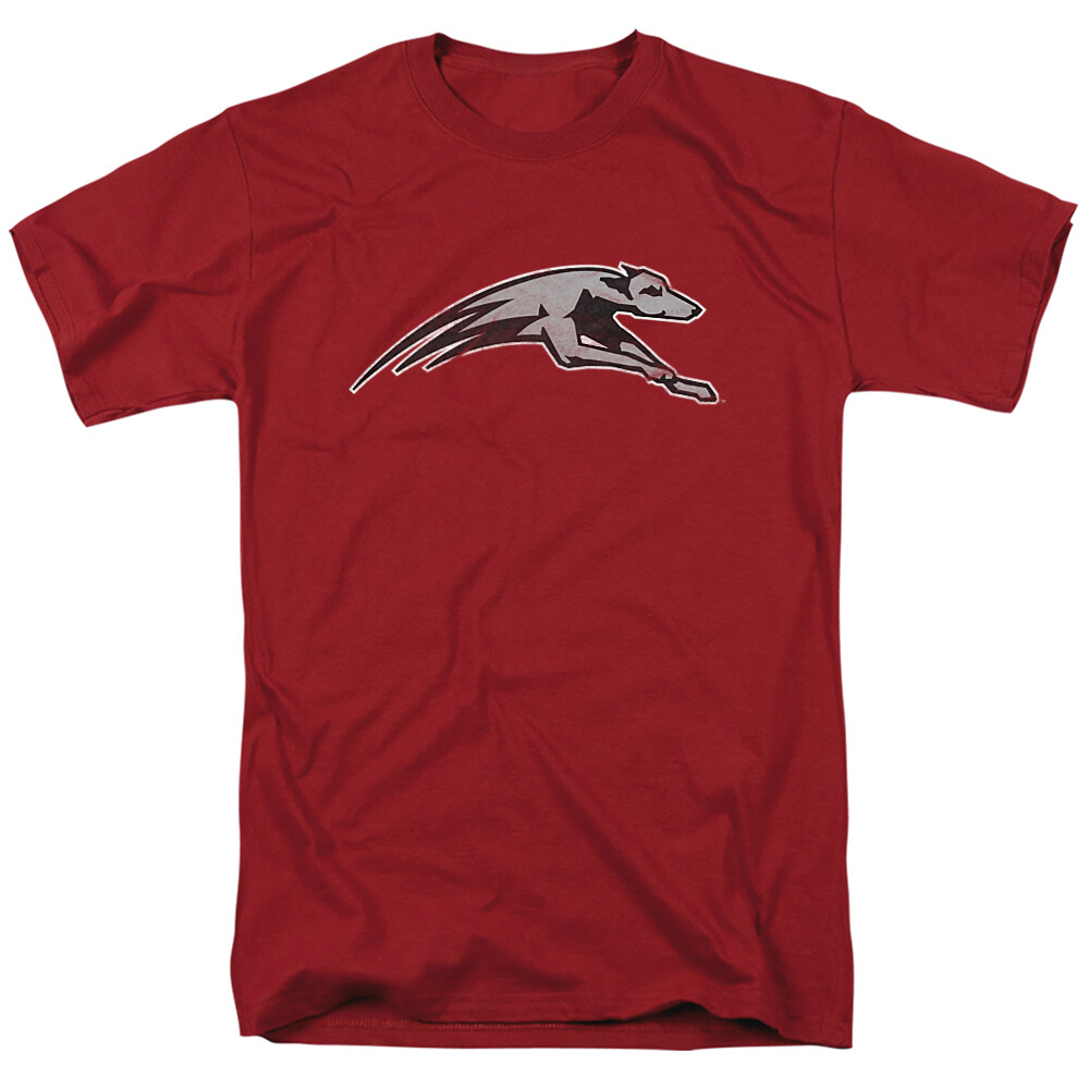 University of Indianapolis Adult T-Shirt Distressed Primary, Cardinal, S-3XL gallery