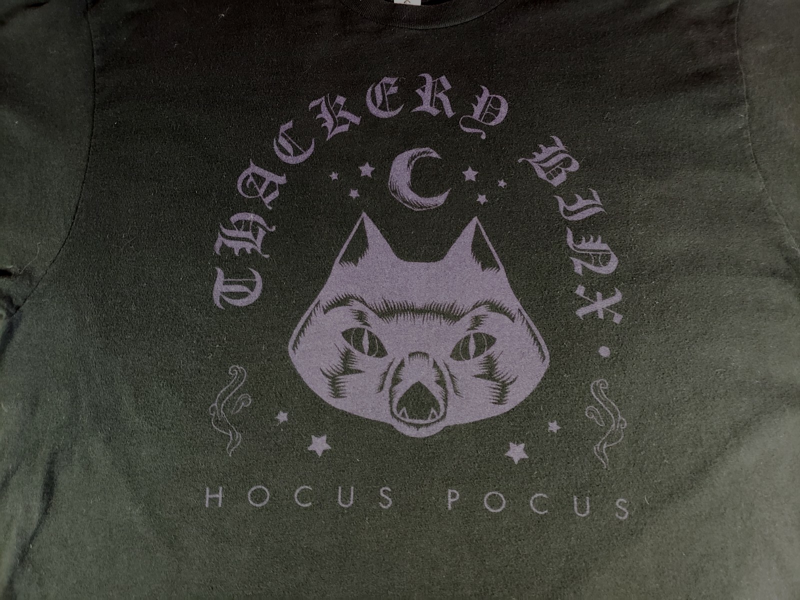 Disney Hocus Pocus Black Purple Cat Thackery Binx Halloween T Shirt Size XL