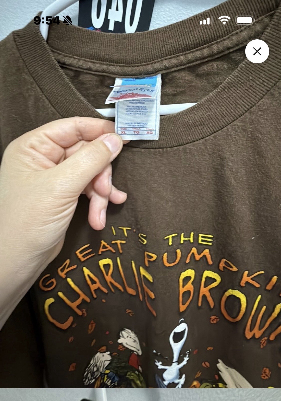 Peanuts Men's Brown Great Pumpkin Charlie Brown Crew Neck T-Shirt Size XL gallery