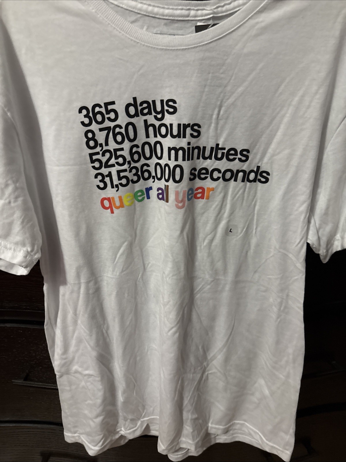 Phluid “queer all year” T Shirt Size L gallery