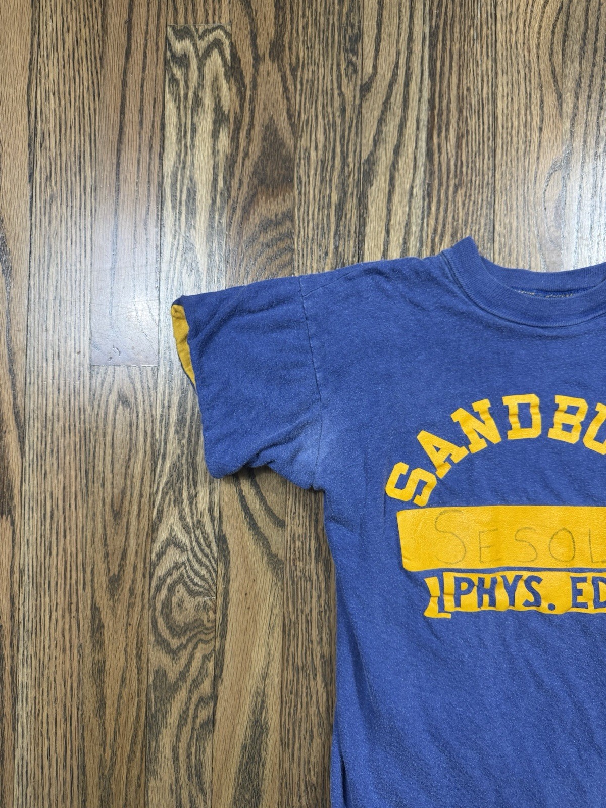 Vintage 60s 70s Sandburg High School Phys. Ed. Blue/ Yellow T Shirt Size Medium gallery