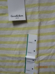 GoodFellow & Co Men’s Striped Silent Lime Crew Neck Standard Fit T-Shirt Size M
