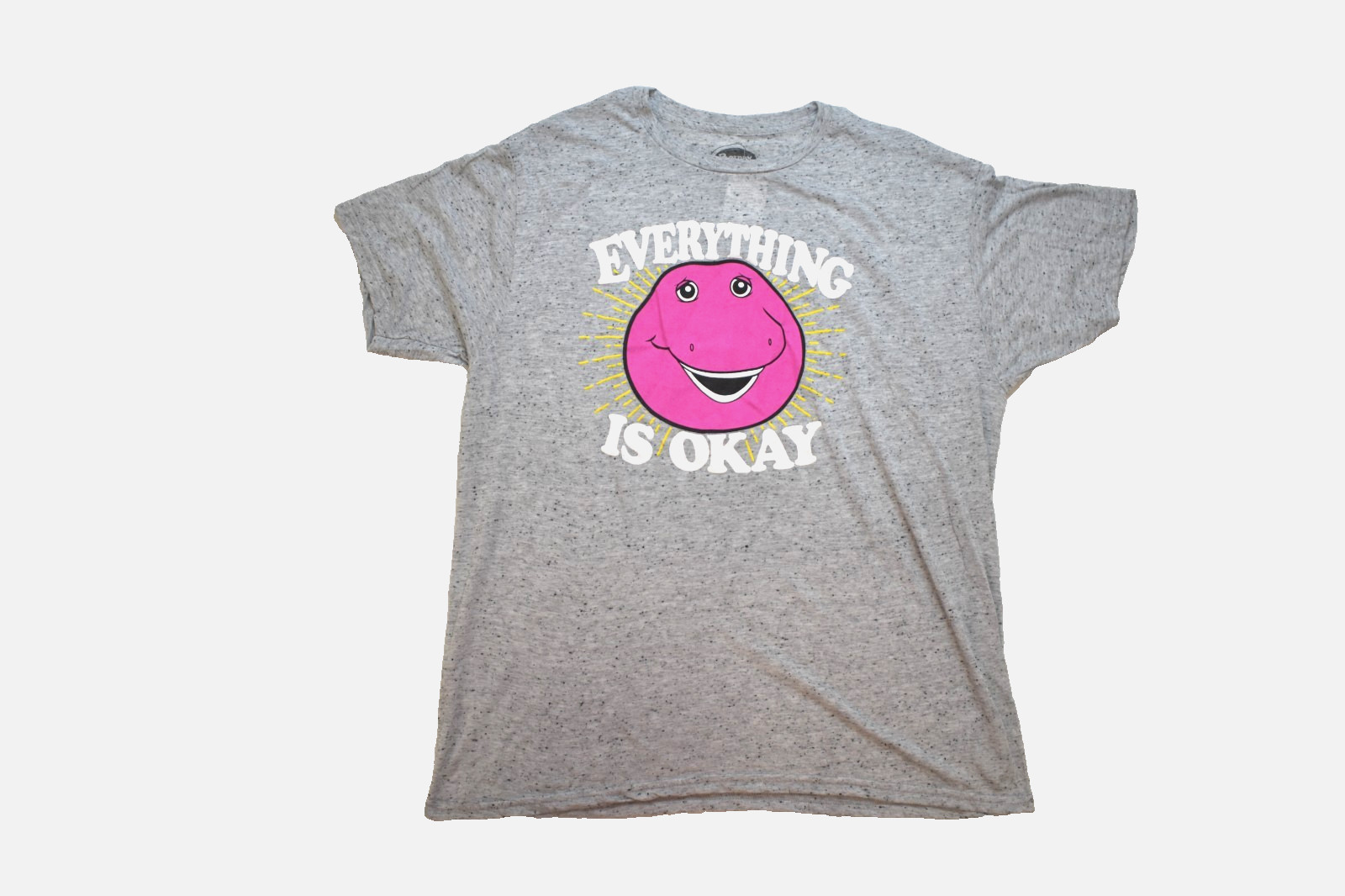 Barney Adult Everything Is Okay Semi-Burnout Cool Dinosaur Gray Shirt NWT S-2XL