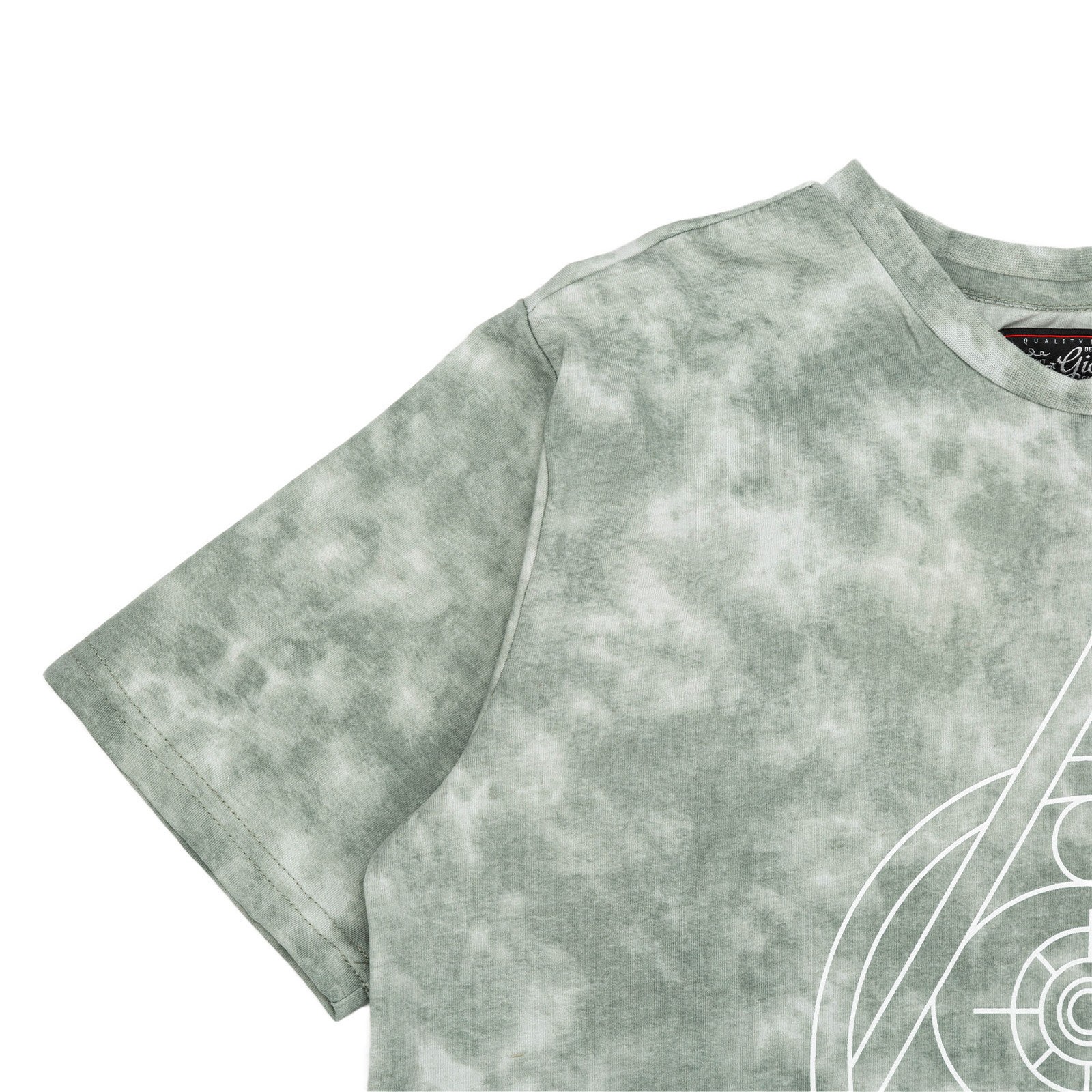 Beautiful Giant Men's Mystery Style T-shirt Crew Neck Sport Wear Sage for Gym gallery