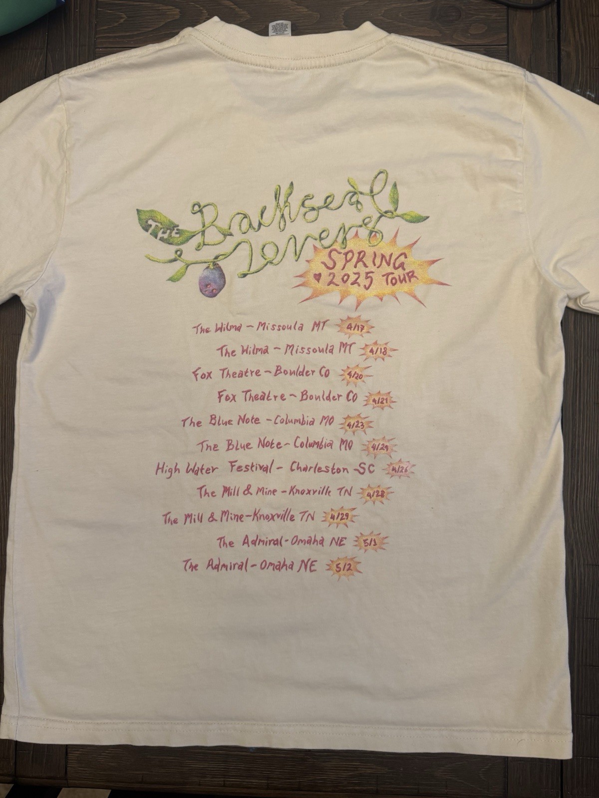 The Backseat Lovers Spring 2025 Tour T-Shirt Size Small gallery