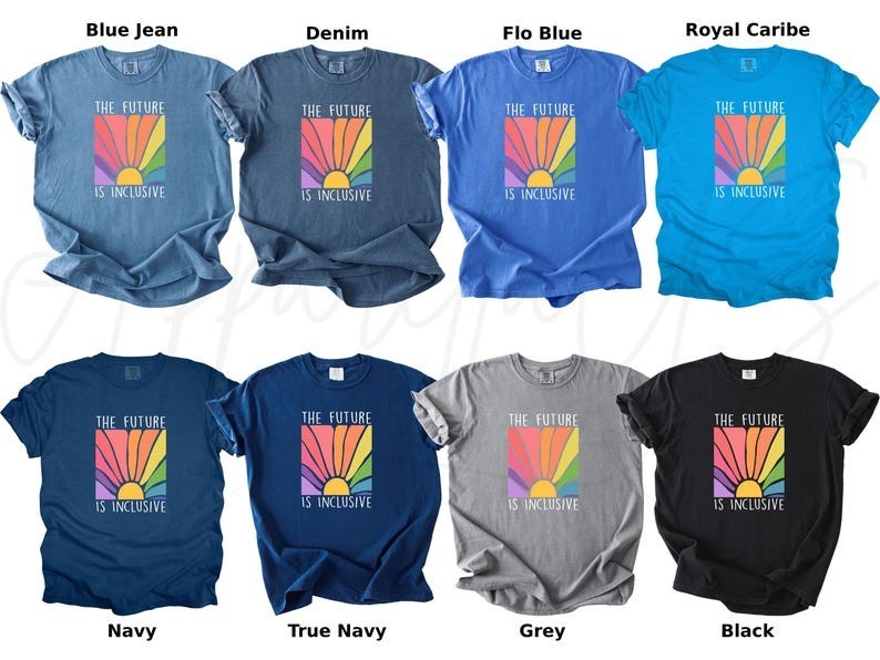 Comfort Colors The Future is Inclusive Shirt, Rainbow Shirt, Human Rights Shirt gallery