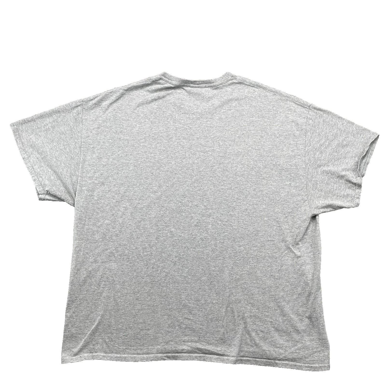 Gildan T-Shirt Men's 3XL Gray Turtley Dad Core Y2K Academia Skate Camping Hiking gallery