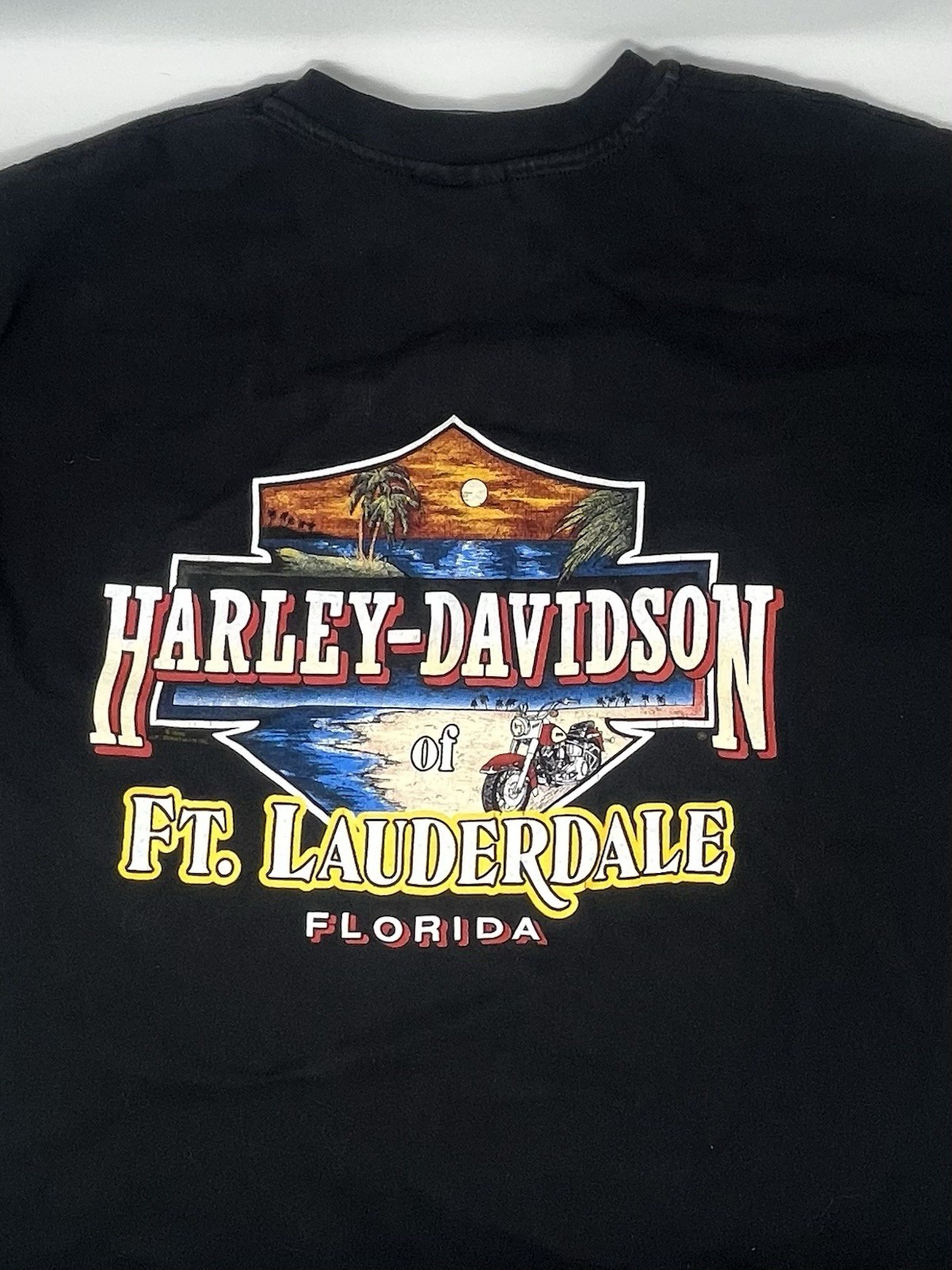 Vintage 1998 Harley Davidson Florida The Strong Survive Bear Biker T Shirt L/XL gallery