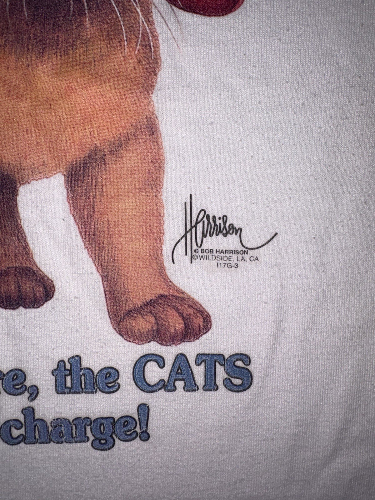 Vintage 90s Bob Harrison “Around Here The Cats Are In Charge” T-Shirt Mens (XL) gallery