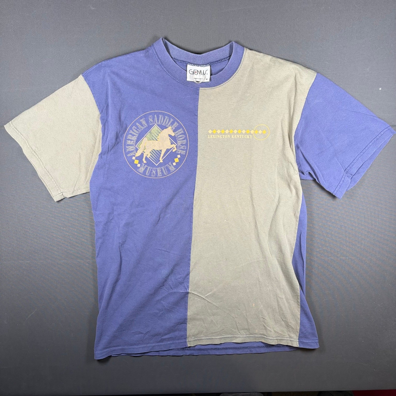 Vintage Genus Two-Tone Color Block Graphic T-Shirt Men’s Medium American Saddle