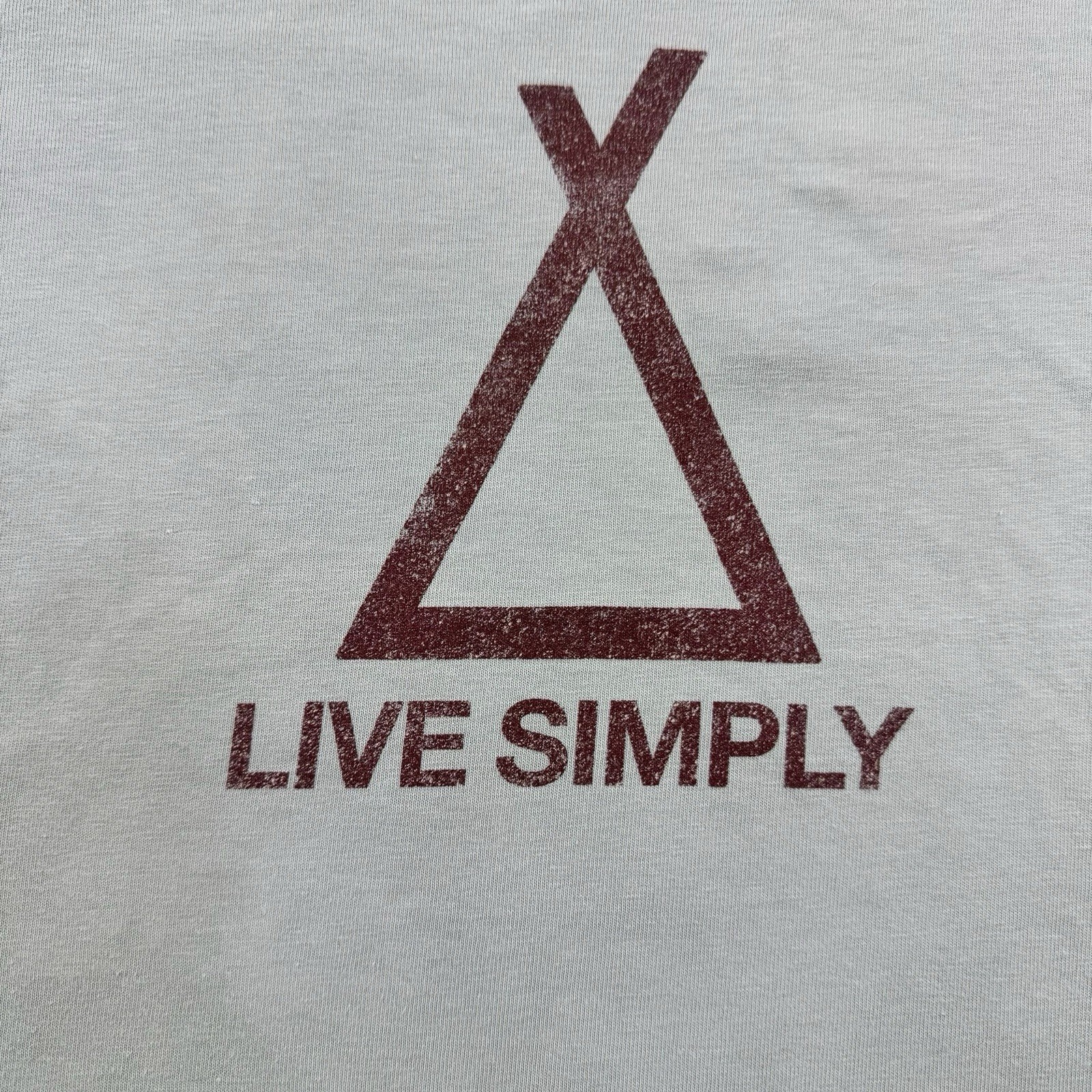 Patagonia Shirt Mens M Light Blue Live Simply Tent Logo Graphic Tee Camping gallery