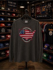 NFL Charcoal Panthers Graphic Tee with Blue and Red Accents