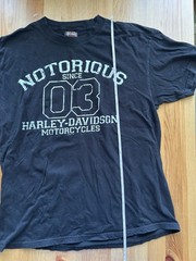 Harley Davidson T Shirt Men’s L Large Black Fairbanks Alaska Motorcycles