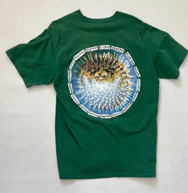 Icecream H&M Discovery Channel Supreme blowfish 1 cent mens 4 t-shirt lot M gallery