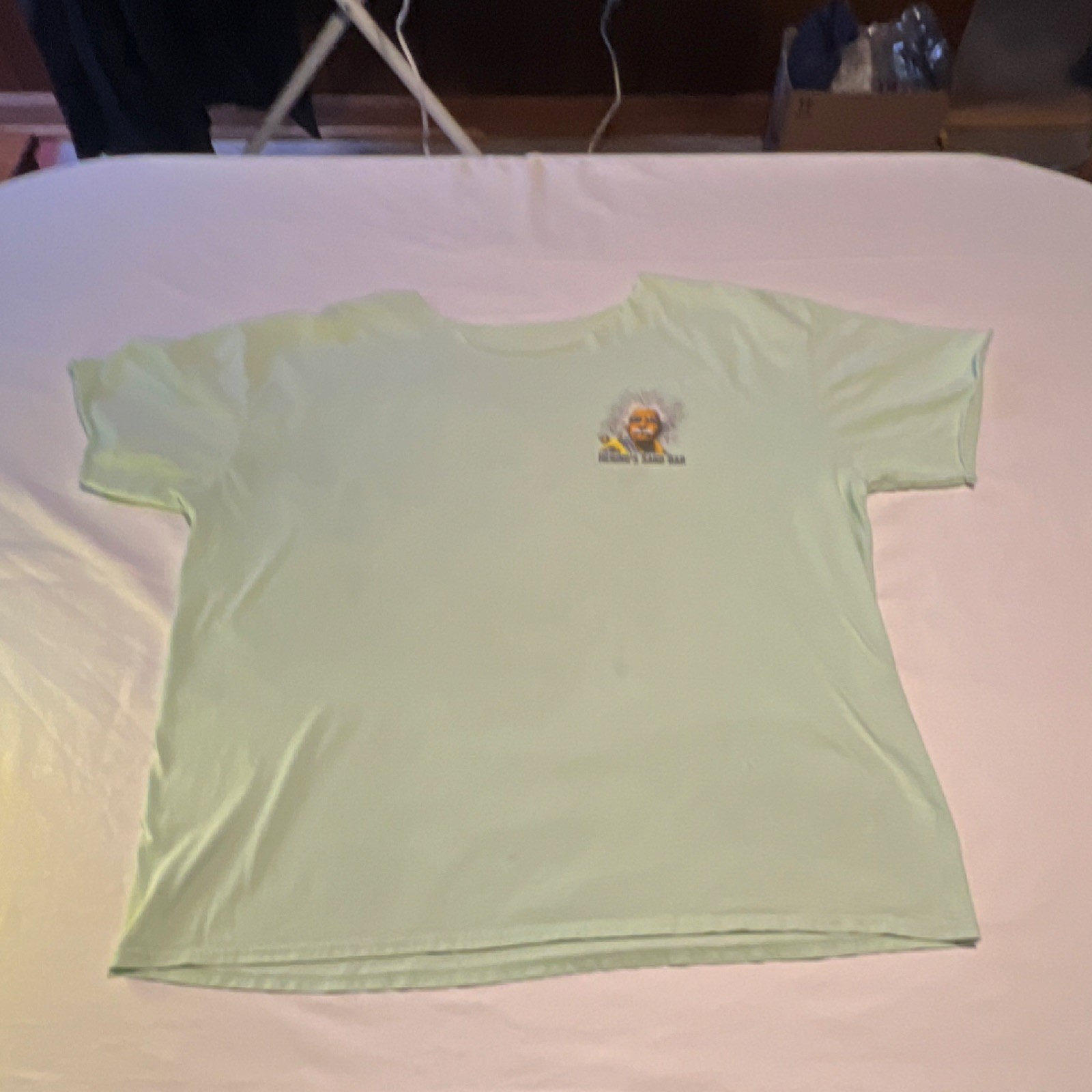 Hering's Sand Bar Light Green Graphic Print T-Shirt Men's Short Sleeve Hawaiian gallery
