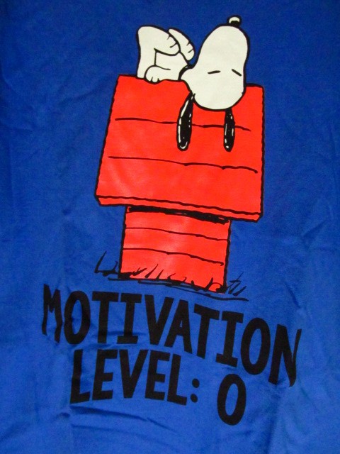 Hybrid Apparel Peanuts Snoopy Motivation Level 0 Shirt, Sizes M. L, XL, 2XL gallery
