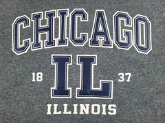 Chicago Illinois T-Shirt Men’s Medium Gray White Adult Applique Logo USA Travel